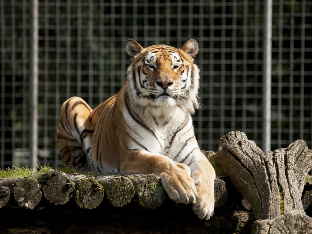 Die 10 Besten Hotels In Der Nhe Von Wildund Freizeitpark Die 10 Besten Hotels In Der Nhe Von Wildund Freizeitpark