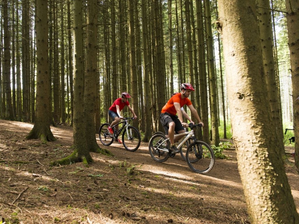 Urlaub mit Hund in Landal Wirfttal